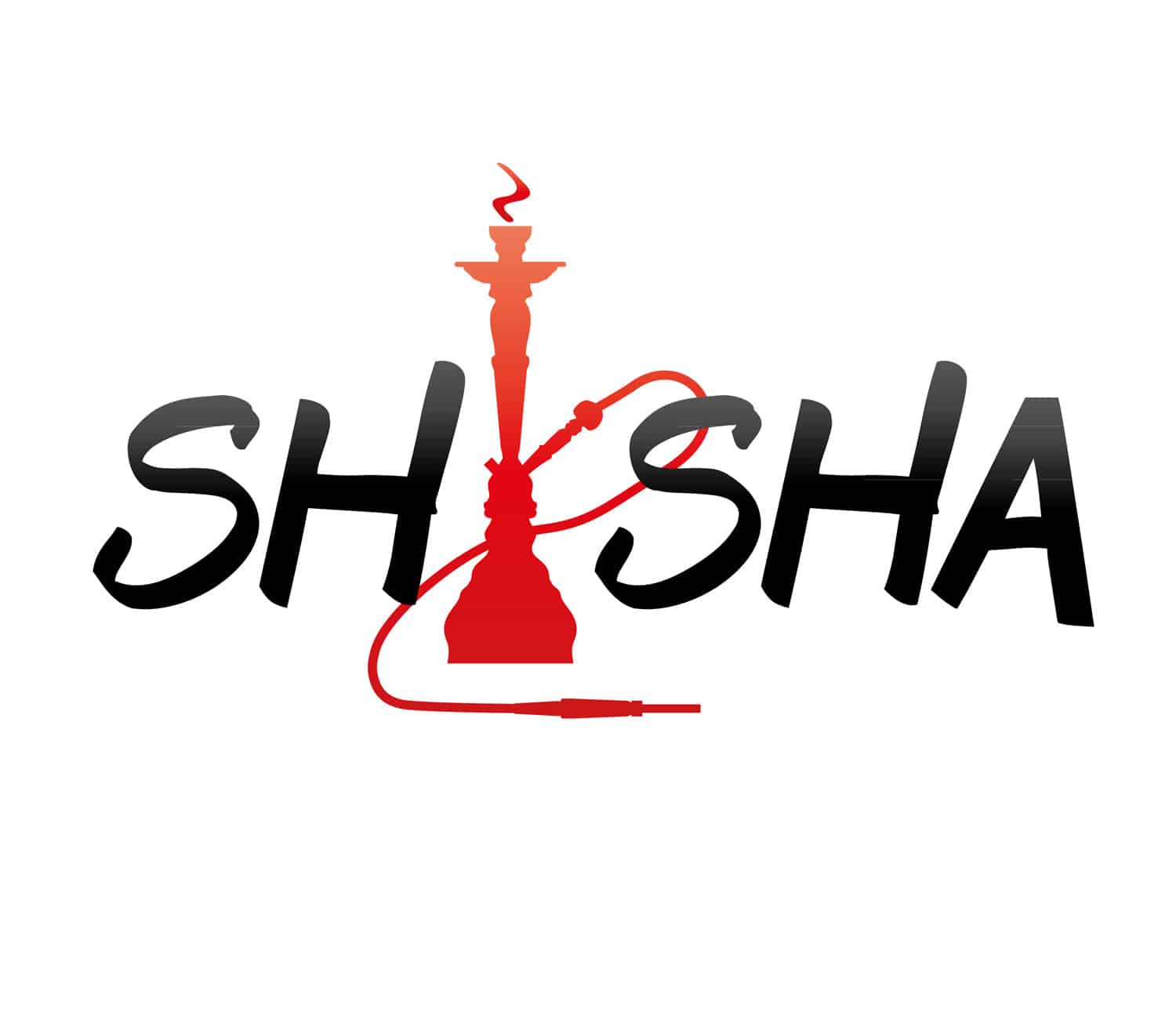 Shisha Auswahl auf Rechnung oder Ratenzahlung - Shishablog vom Aladin Shisha Shop
