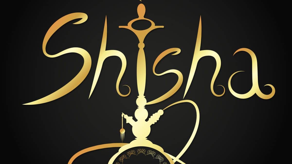 Shishas von 150€ bis 200€ Review -Shishablog vom Aladin Shisha Shop