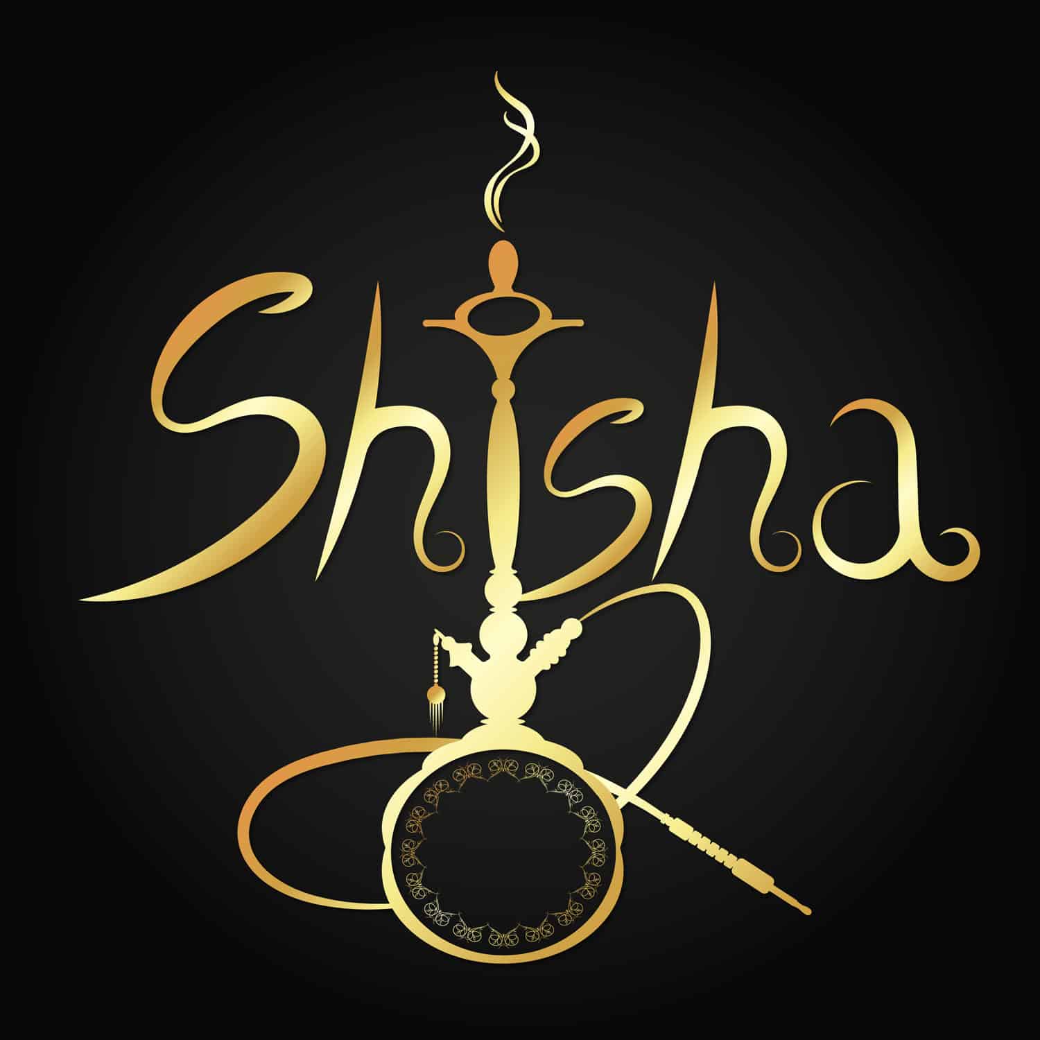 Shishas von 150€ bis 200€ Review -Shishablog vom Aladin Shisha Shop